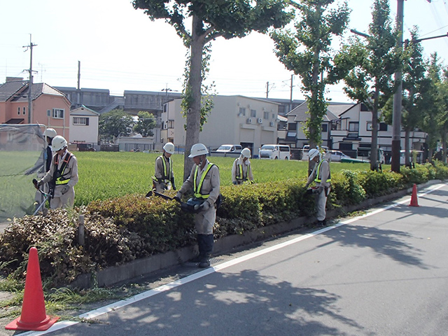 街路樹の剪定